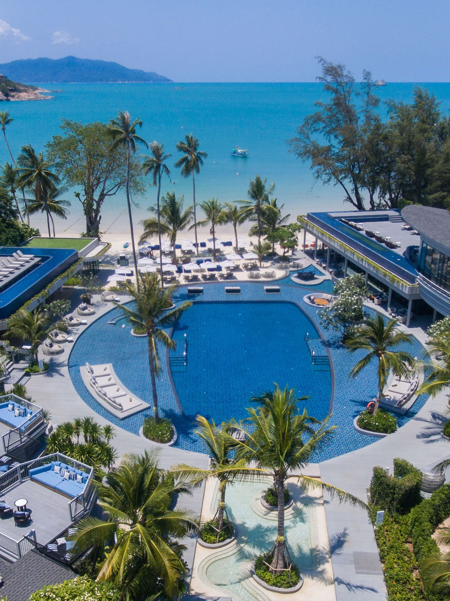 a swimming pool with palm trees and a building on the beach
