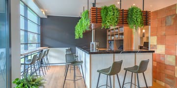 a bar with chairs and a plant above it