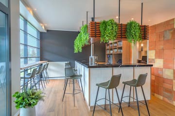 a bar with chairs and a plant above it