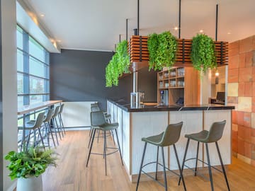 a bar with chairs and a plant above it