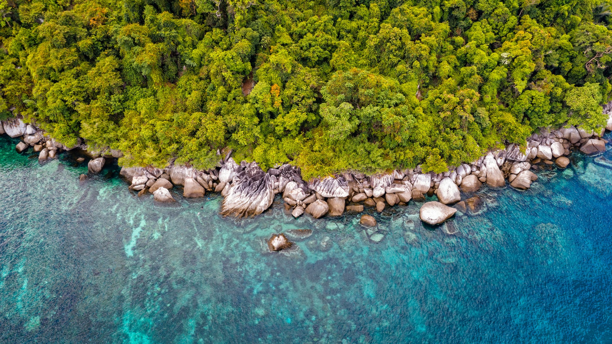 a aerial view of a rocky island with trees