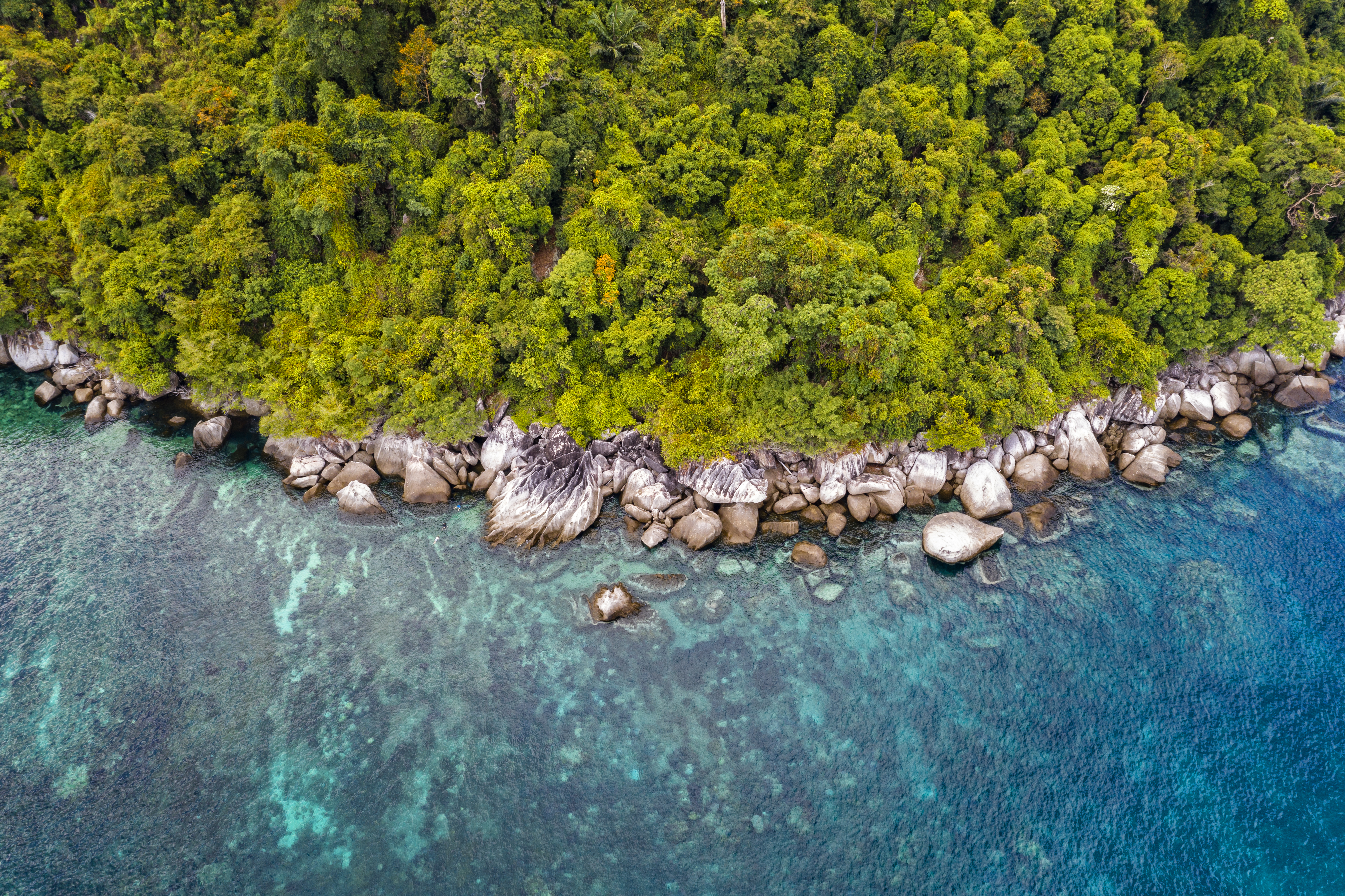 a aerial view of a rocky island with trees