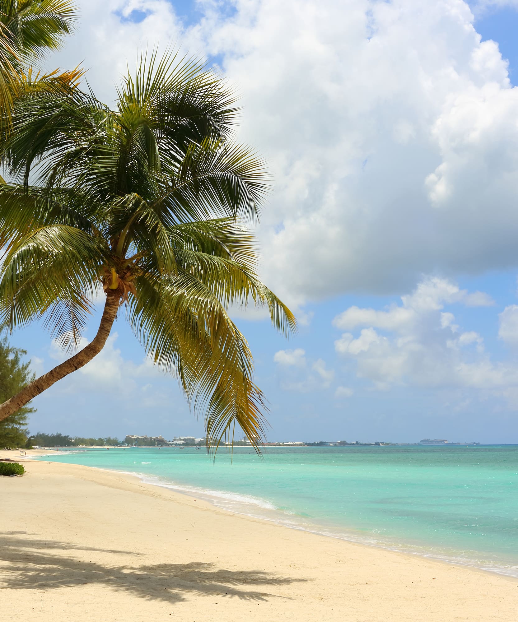 Playa caribeña con palmeras, arena blanca y mar de aguas turquesas.
