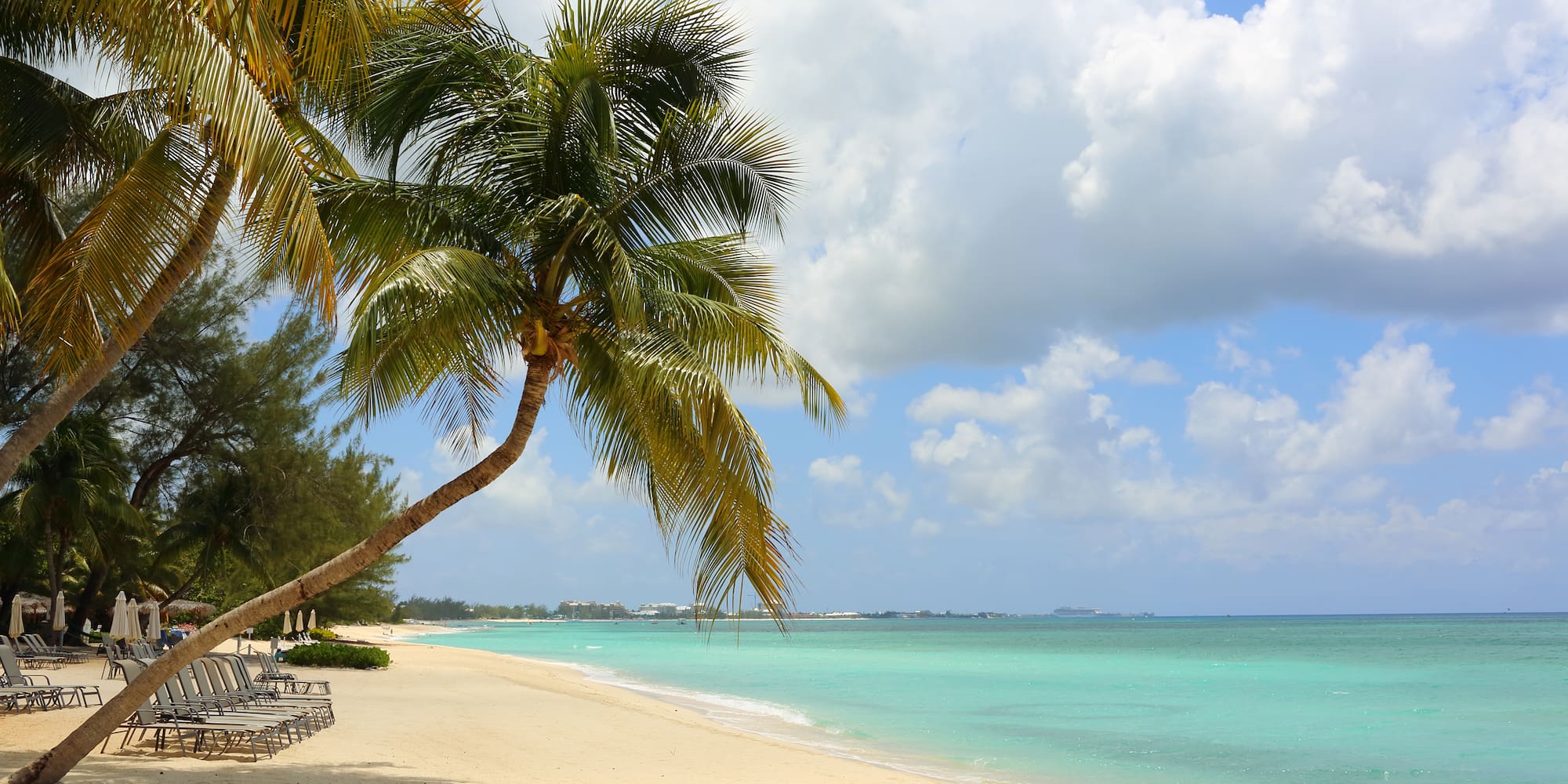 a beach with palm trees and chairs