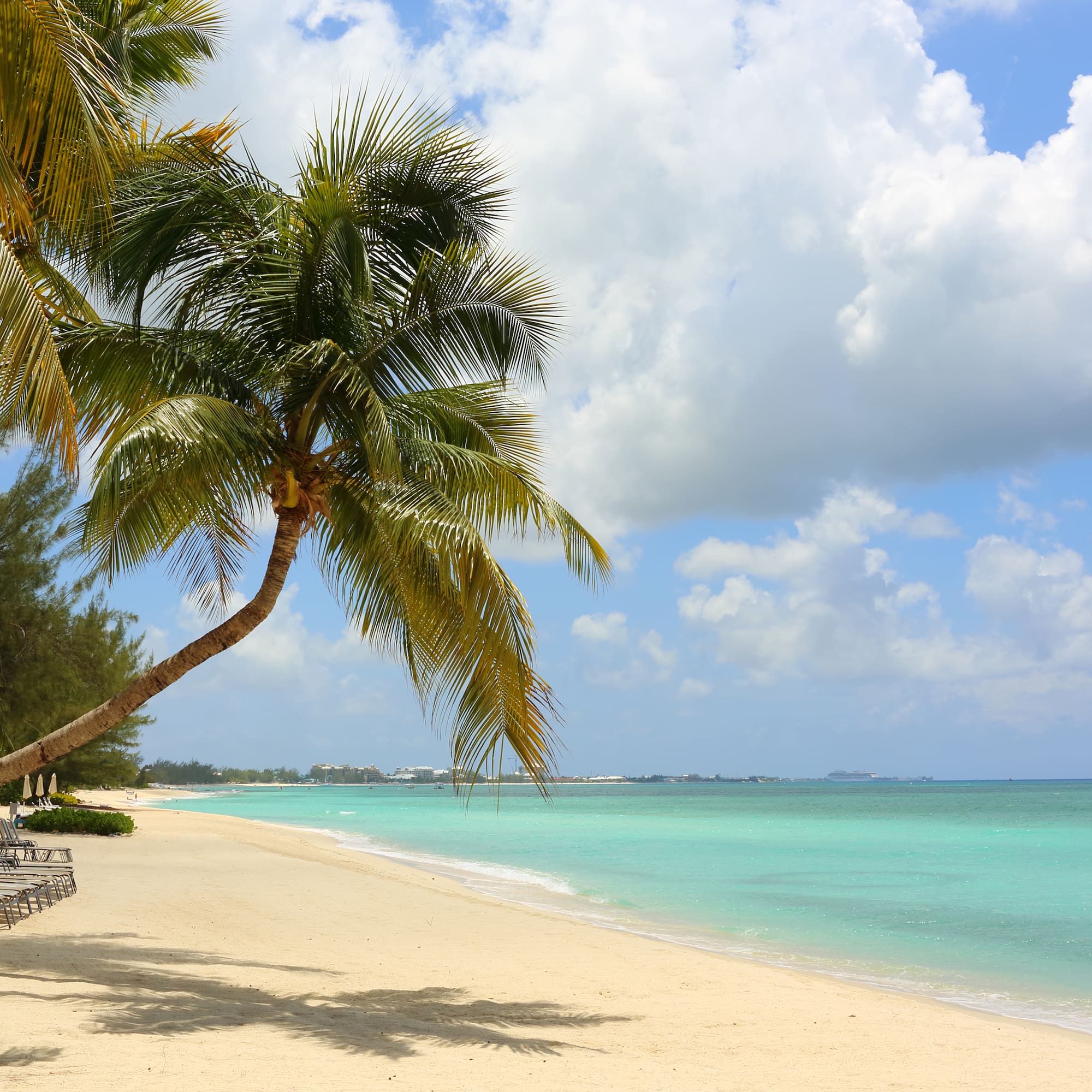 Playa caribeña con palmeras, arena blanca y mar de aguas turquesas.
