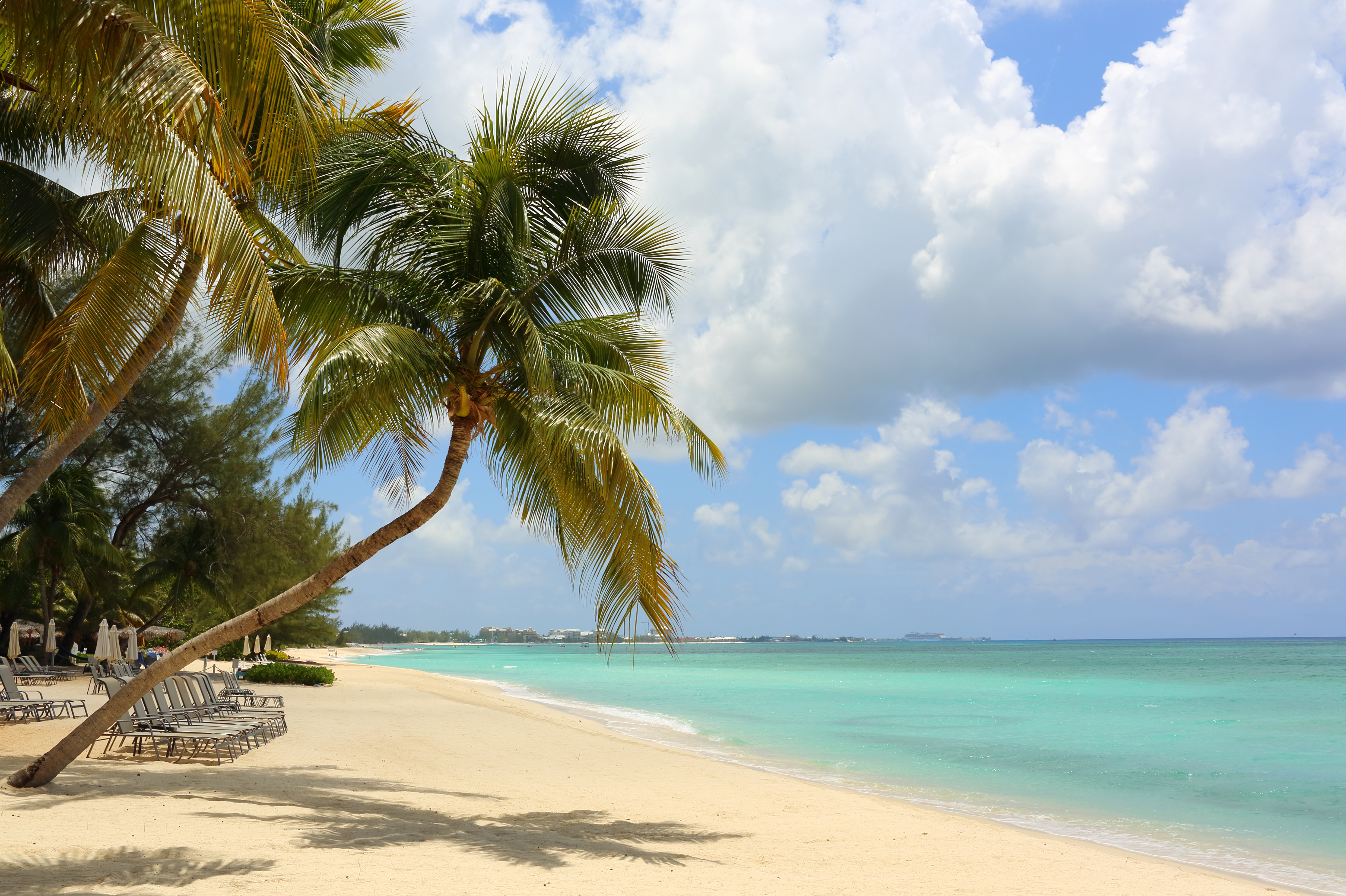 a beach with palm trees and chairs