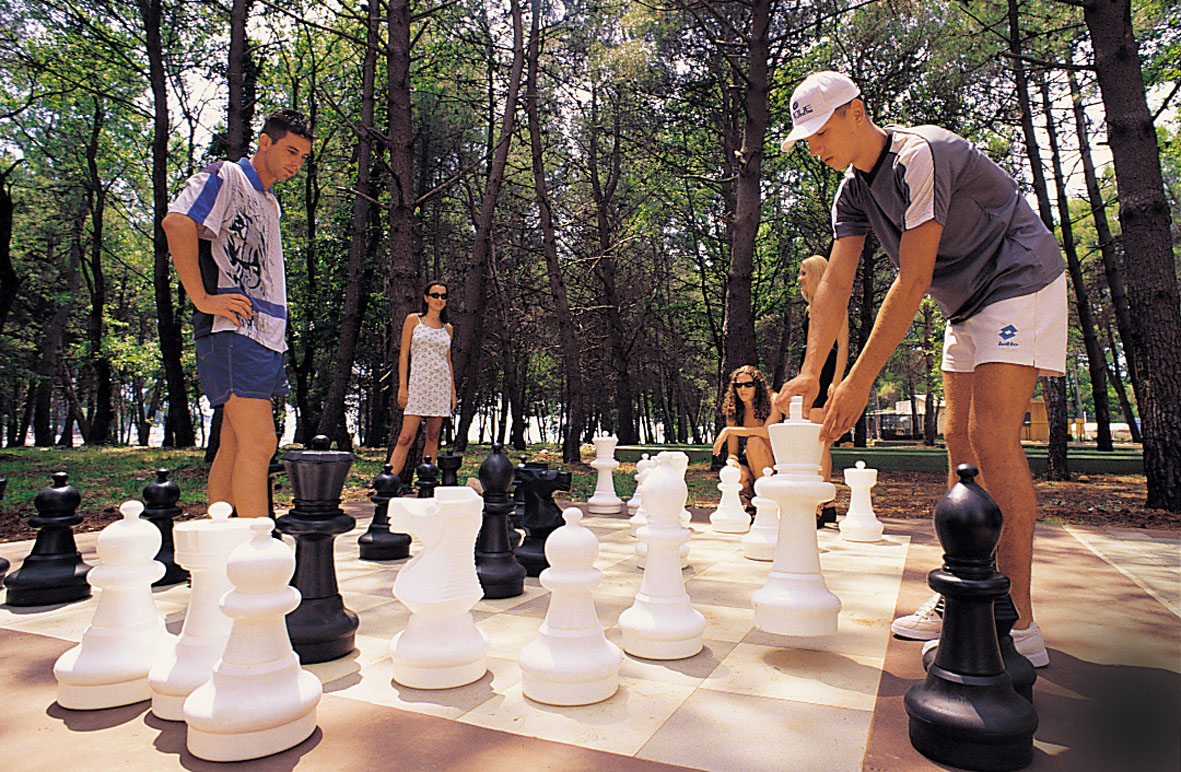 a group of people playing chess