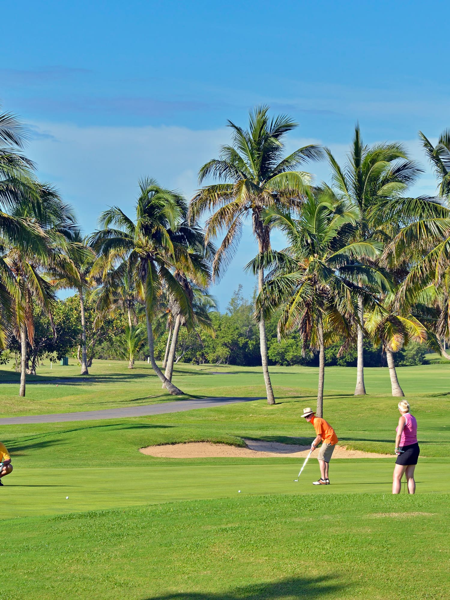 a group of people playing golf