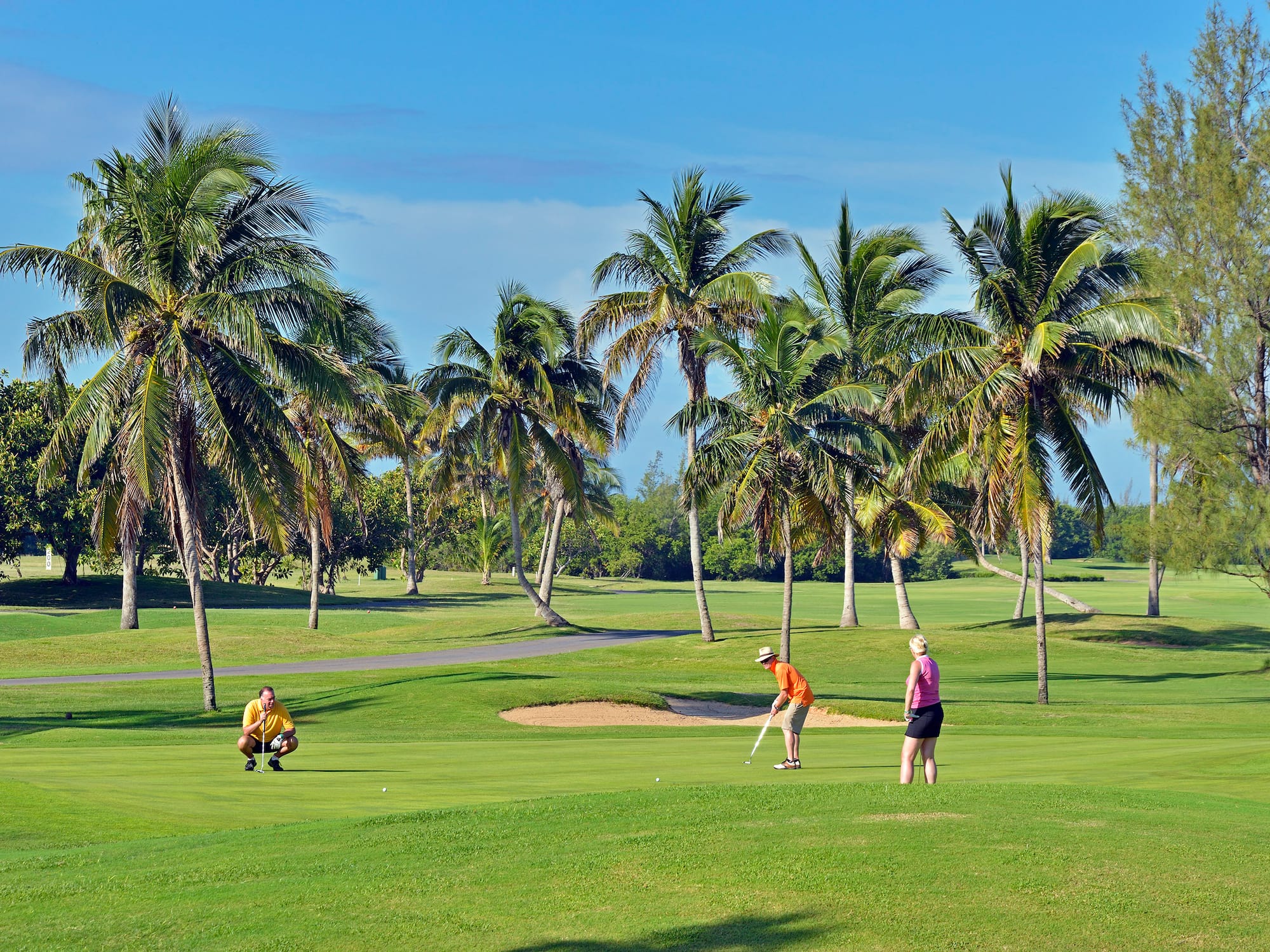 a group of people playing golf