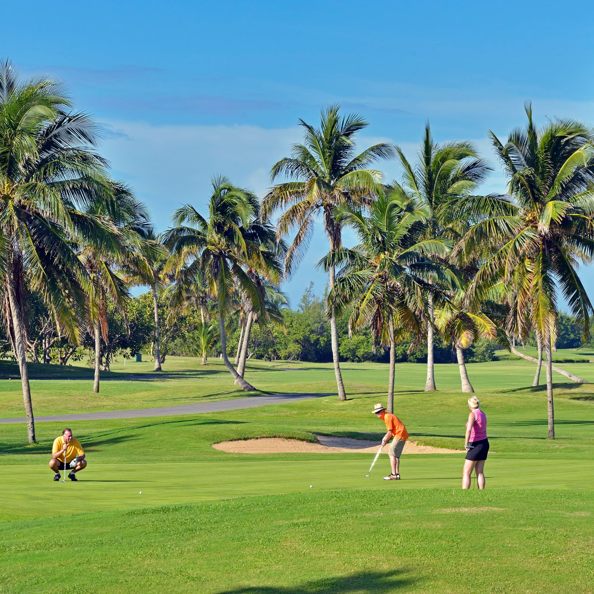 a group of people playing golf