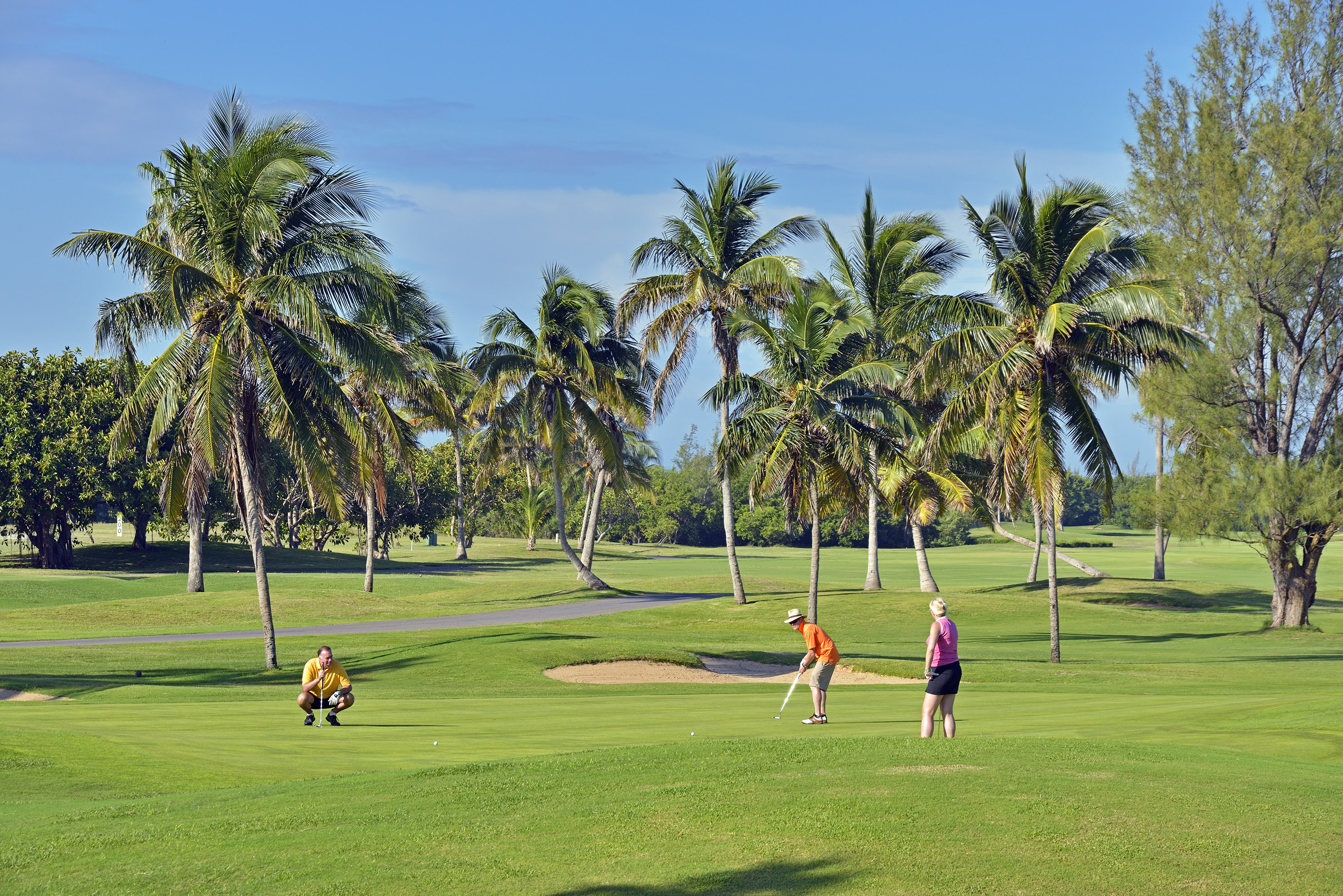 a group of people playing golf