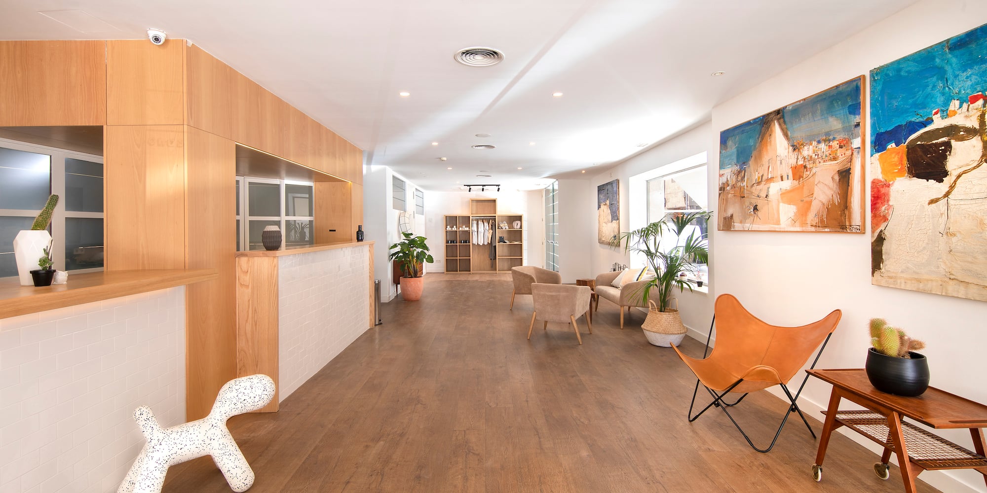 a room with chairs and a dog