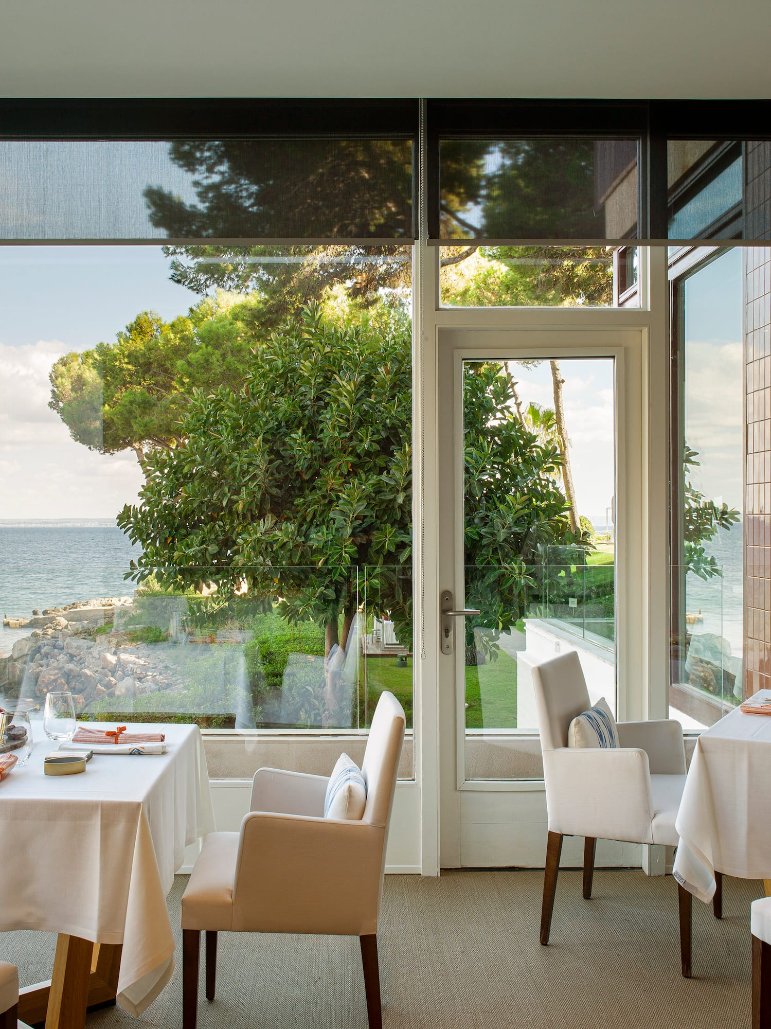a room with a view of the ocean and a tree