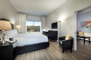 a bedroom with a bed and a chair