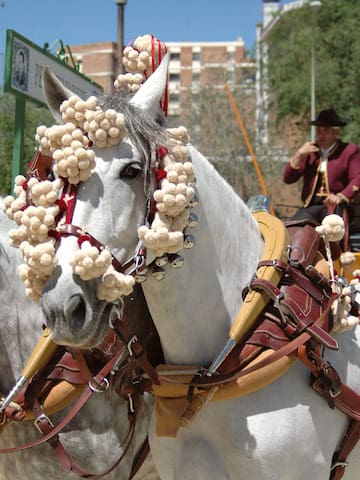 a group of horses with flowers on them
