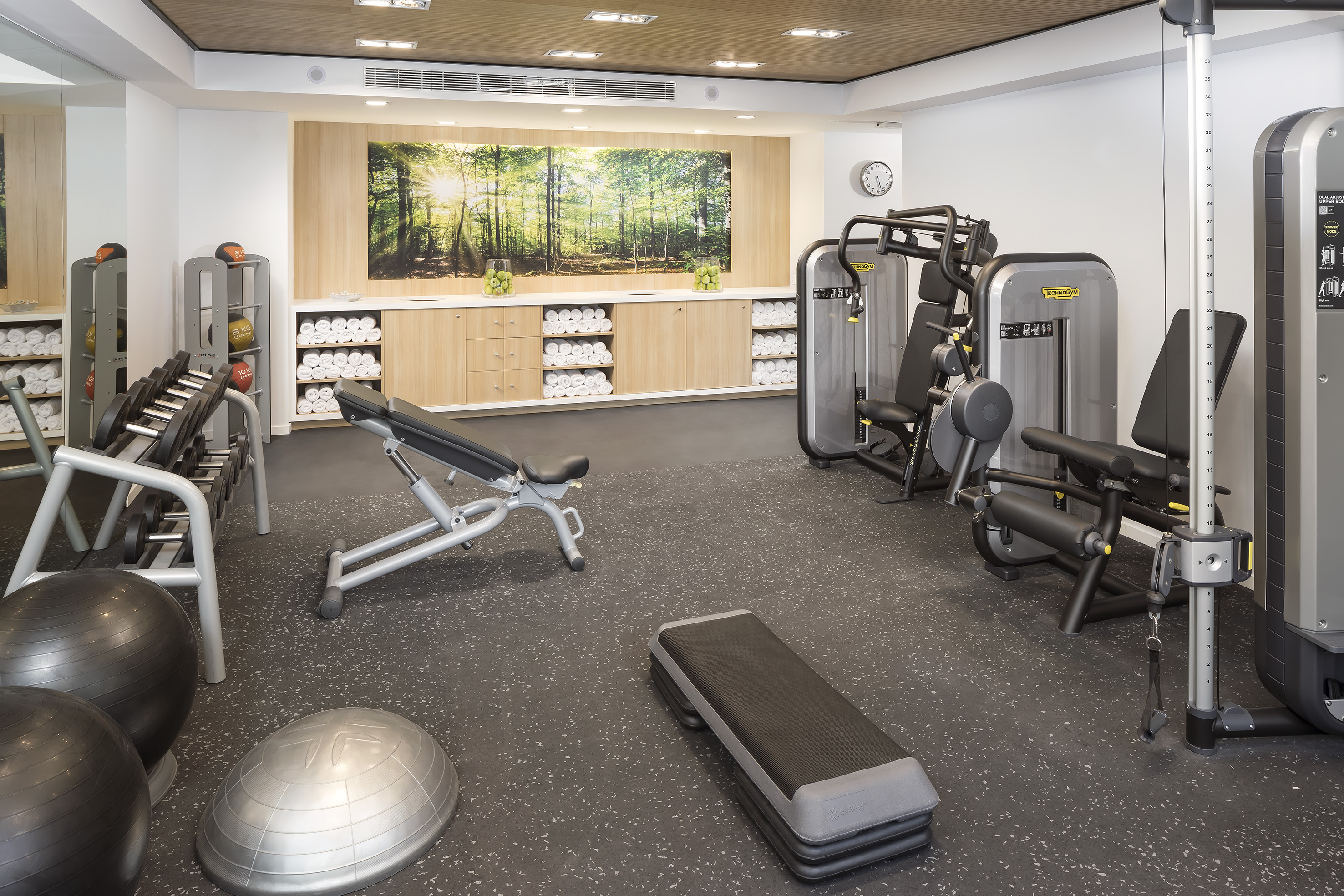 Modern fitness center with workout machines, free weights, and nature mural.