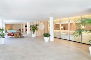 a room with plants and a large window