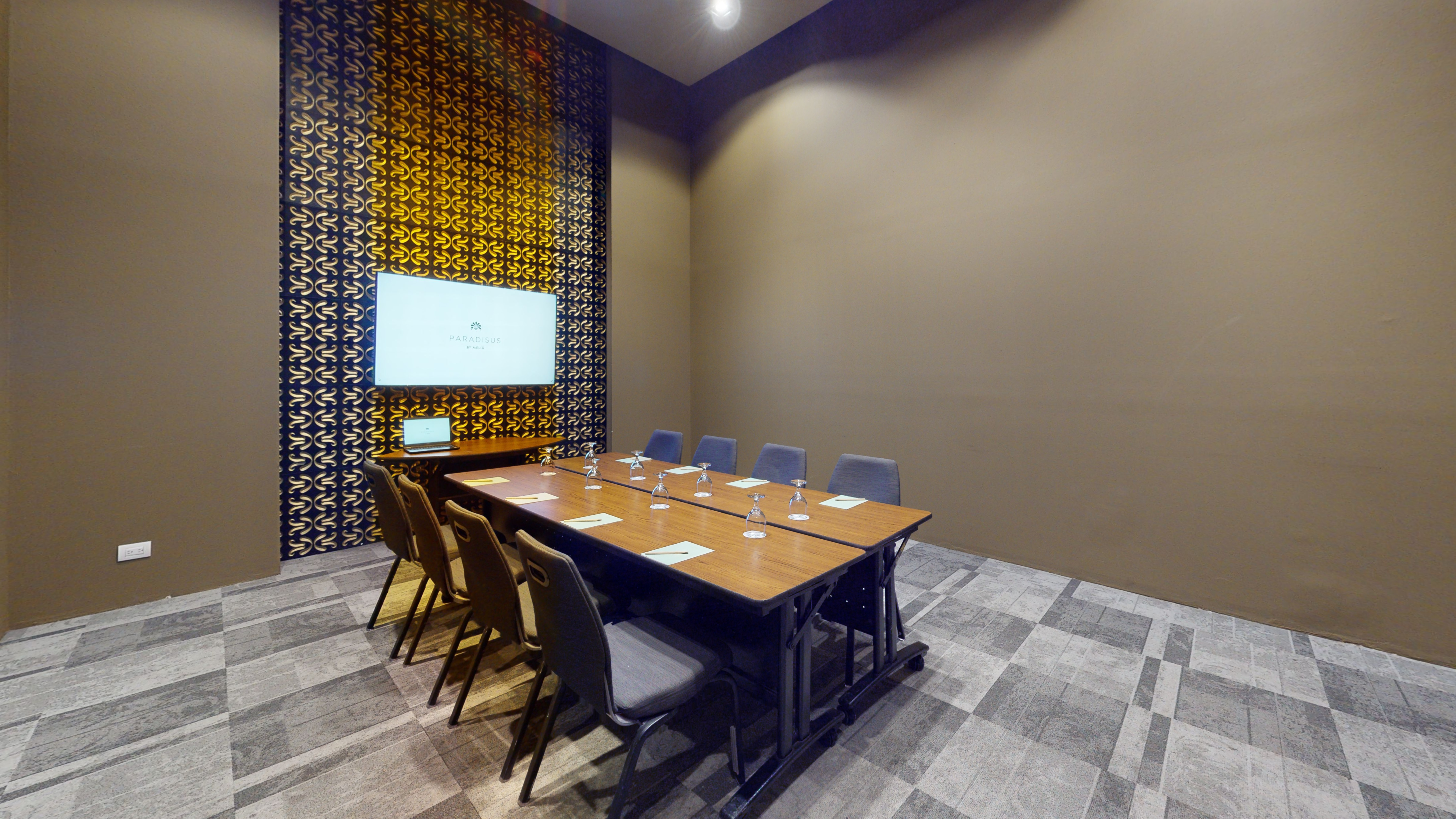 Paradisus business meeting room with boardroom table and presentation screen.
