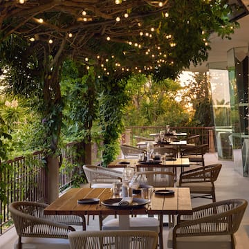 a restaurant with tables and chairs under a tree