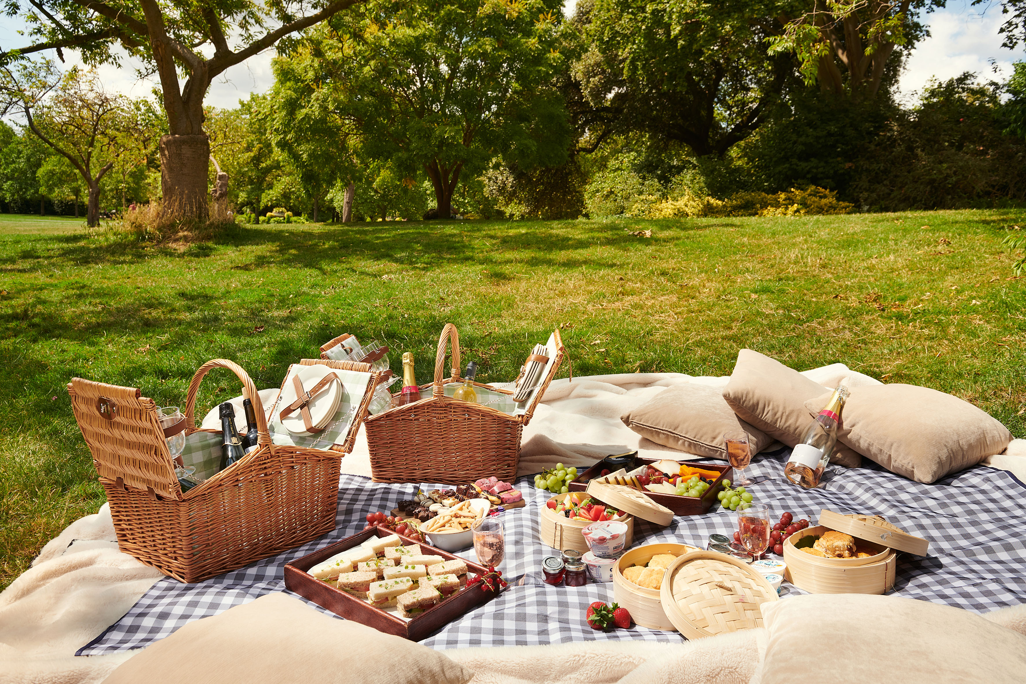 Lush park picnic with gourmet food, champagne, and wicker baskets.