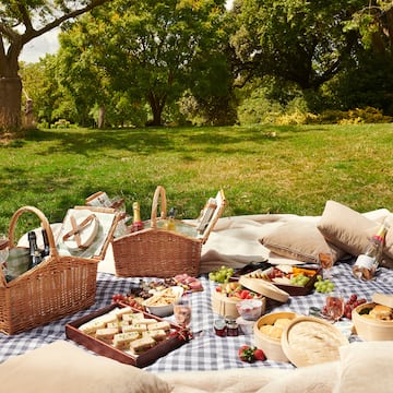 a picnic blanket with food and drinks on it