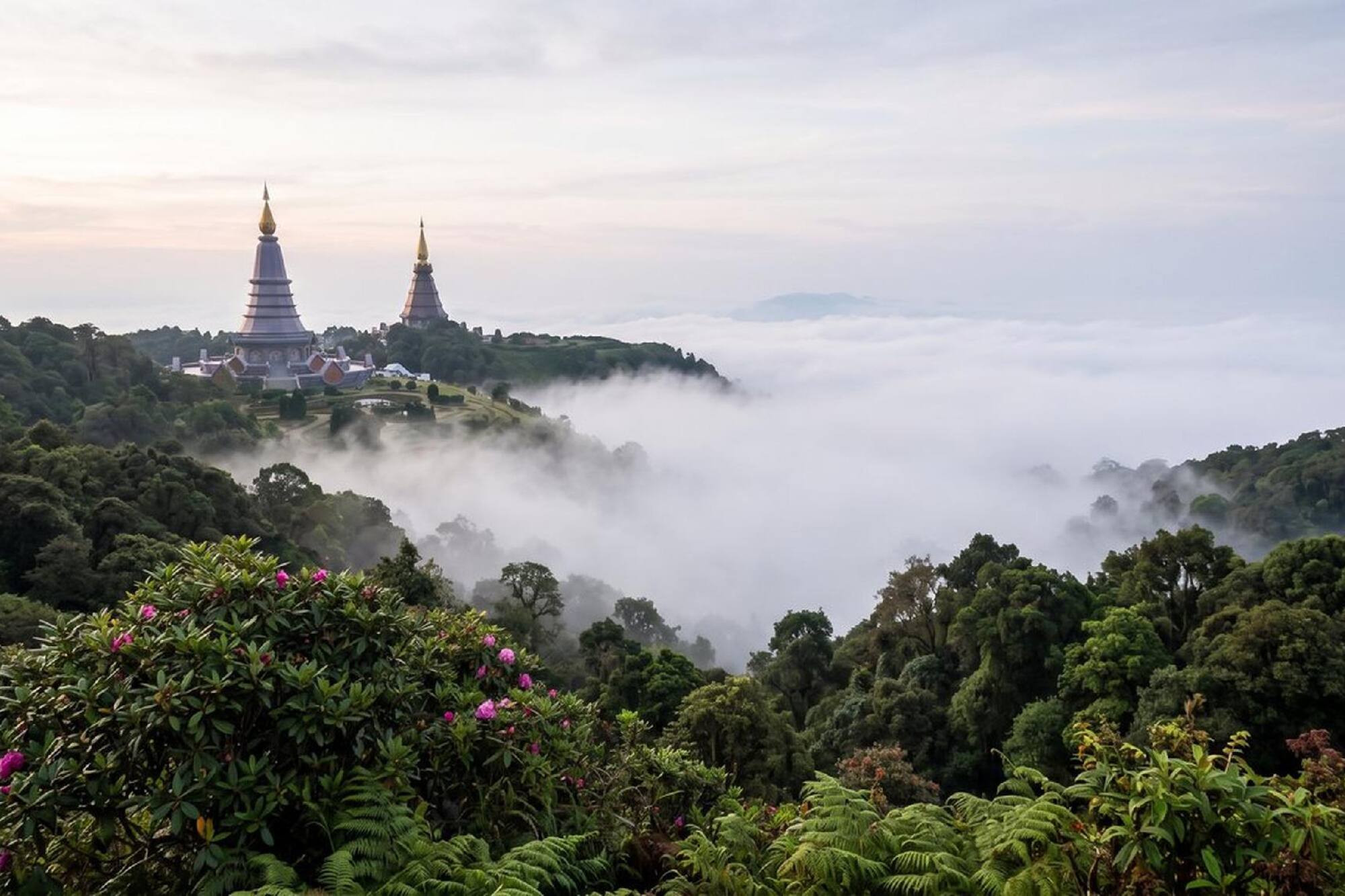 Twin golden pagodas above a sea of clouds and lush mountain forest.