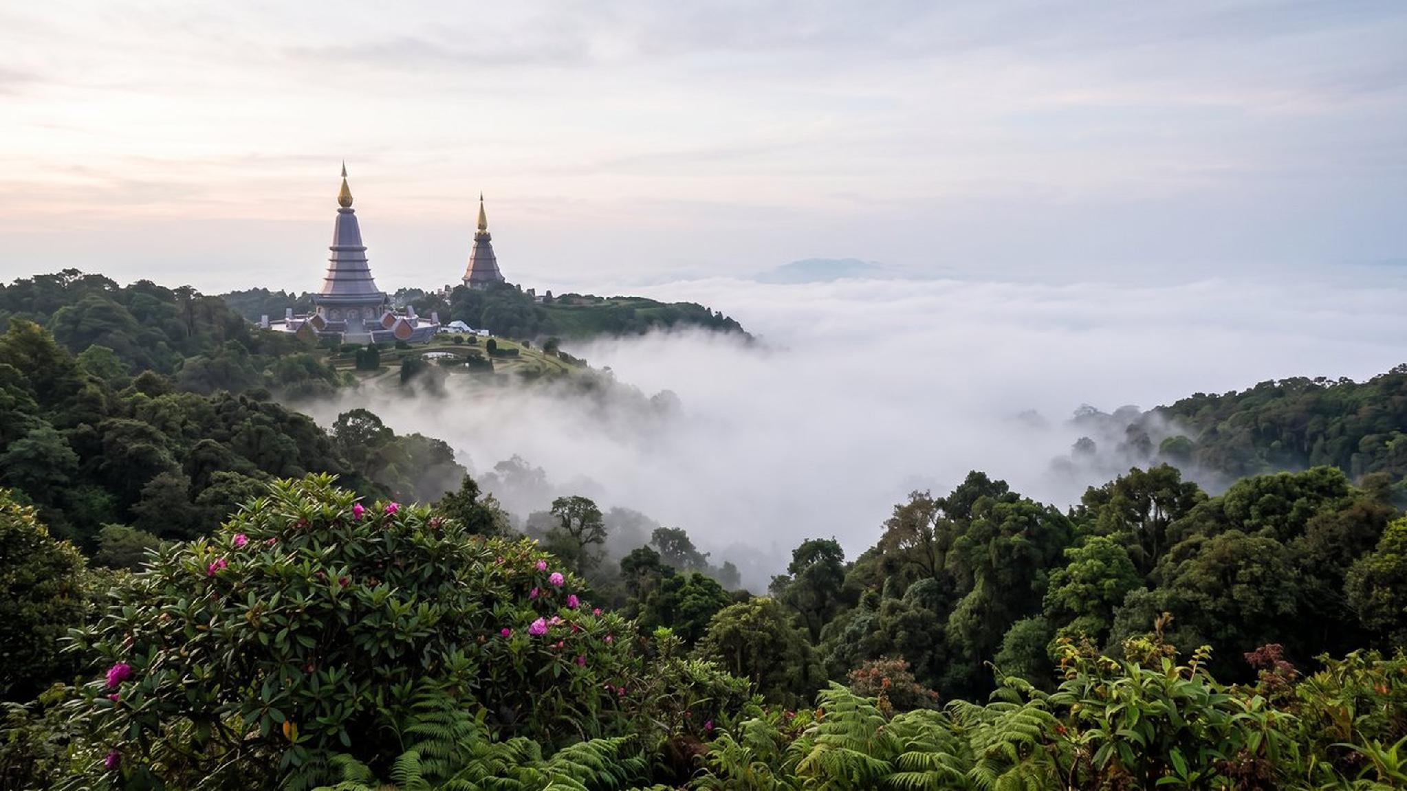 Twin golden pagodas above a sea of clouds and lush mountain forest.