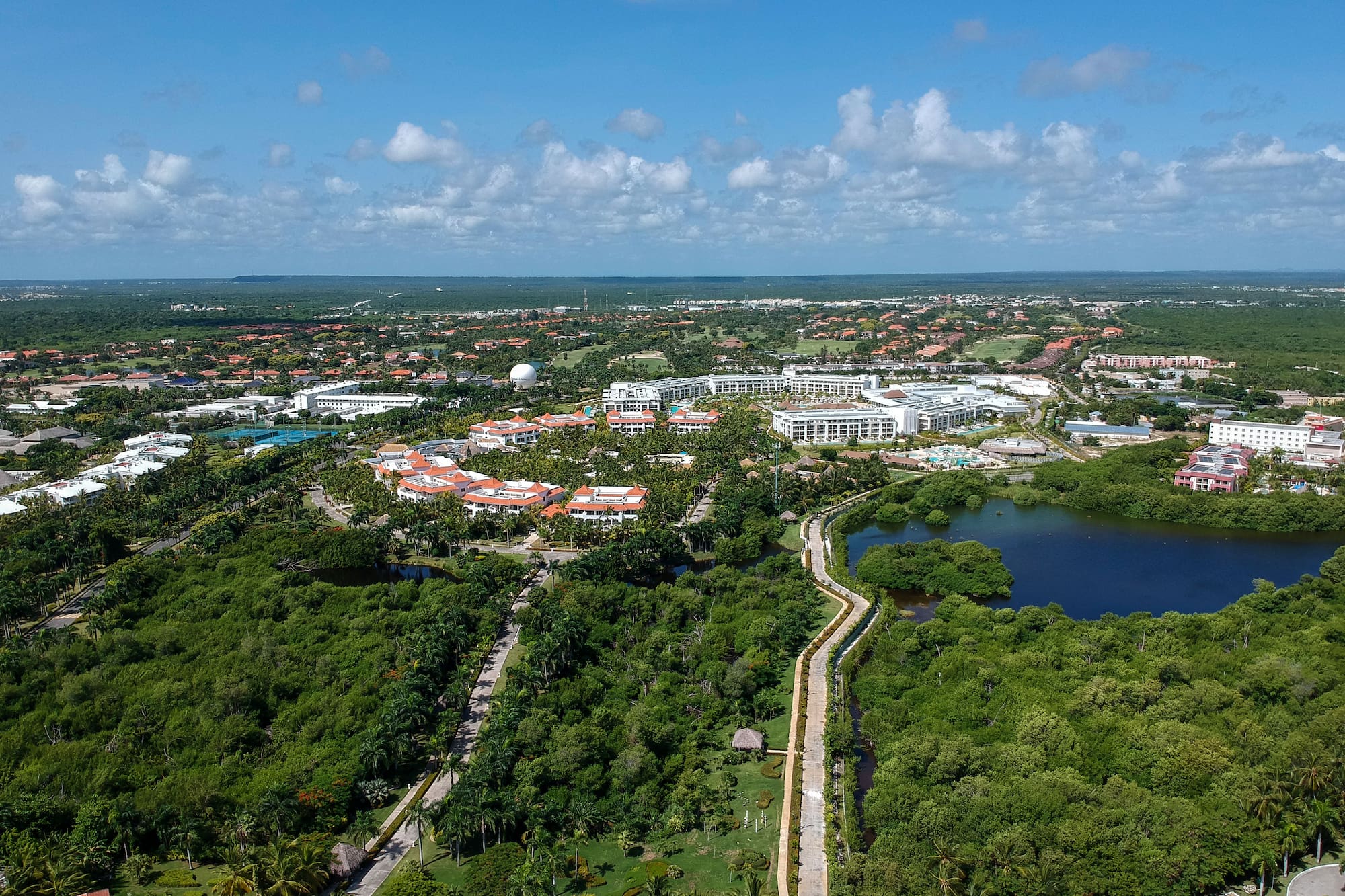 a landscape with trees and buildings