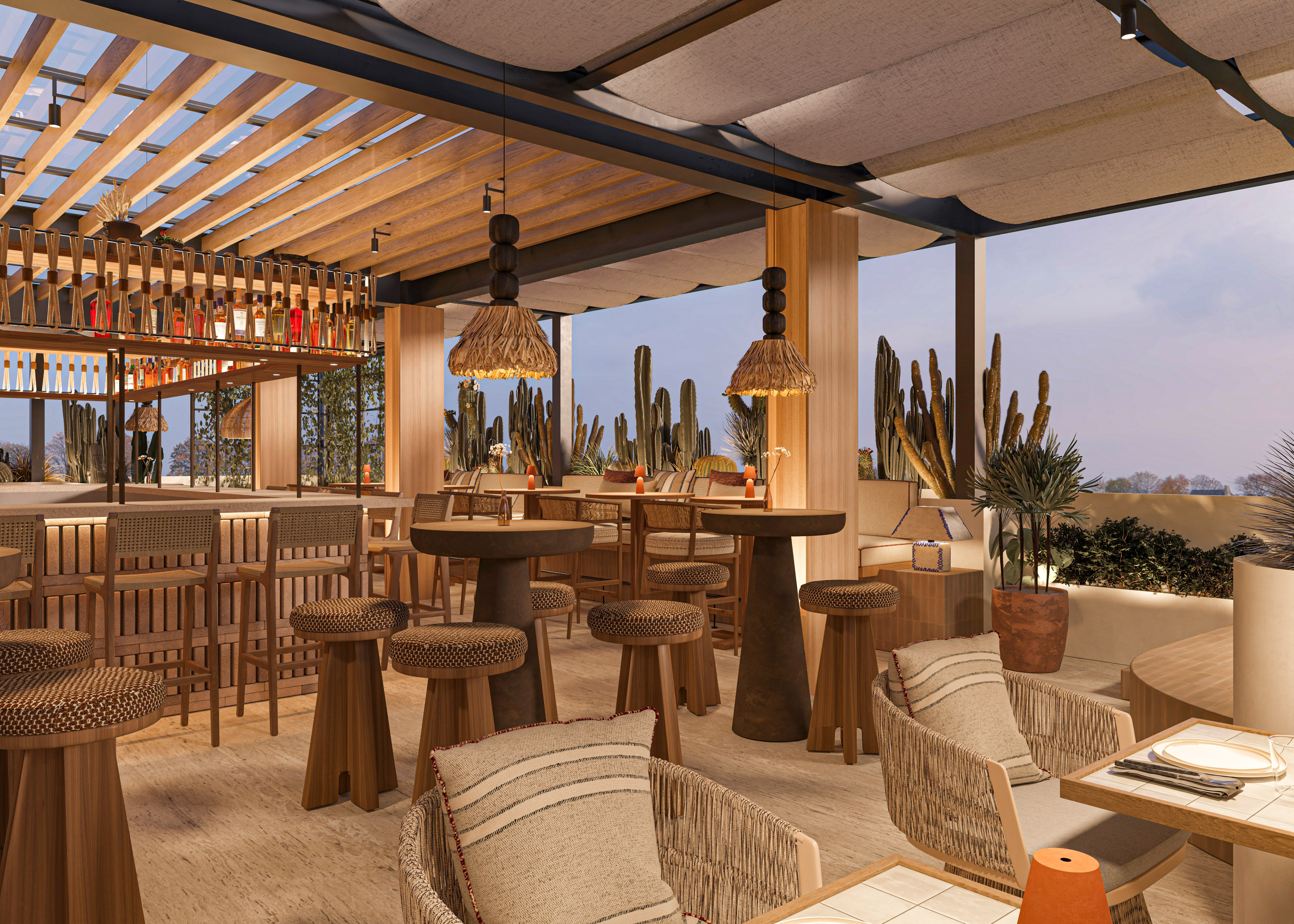 Modern outdoor restaurant bar with wooden pergola, cacti, and woven seating.