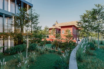 a garden with trees and a building