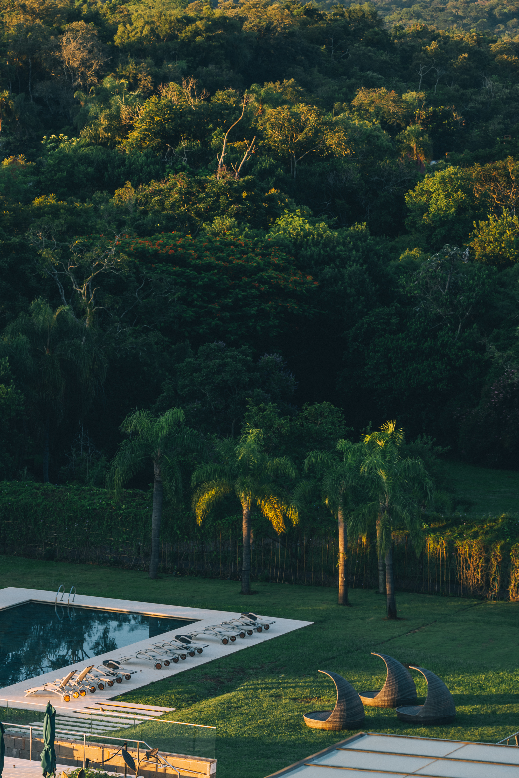 a pool in a grassy area with trees in the background
