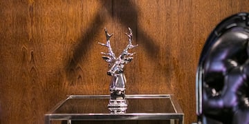 a table with a deer head on it