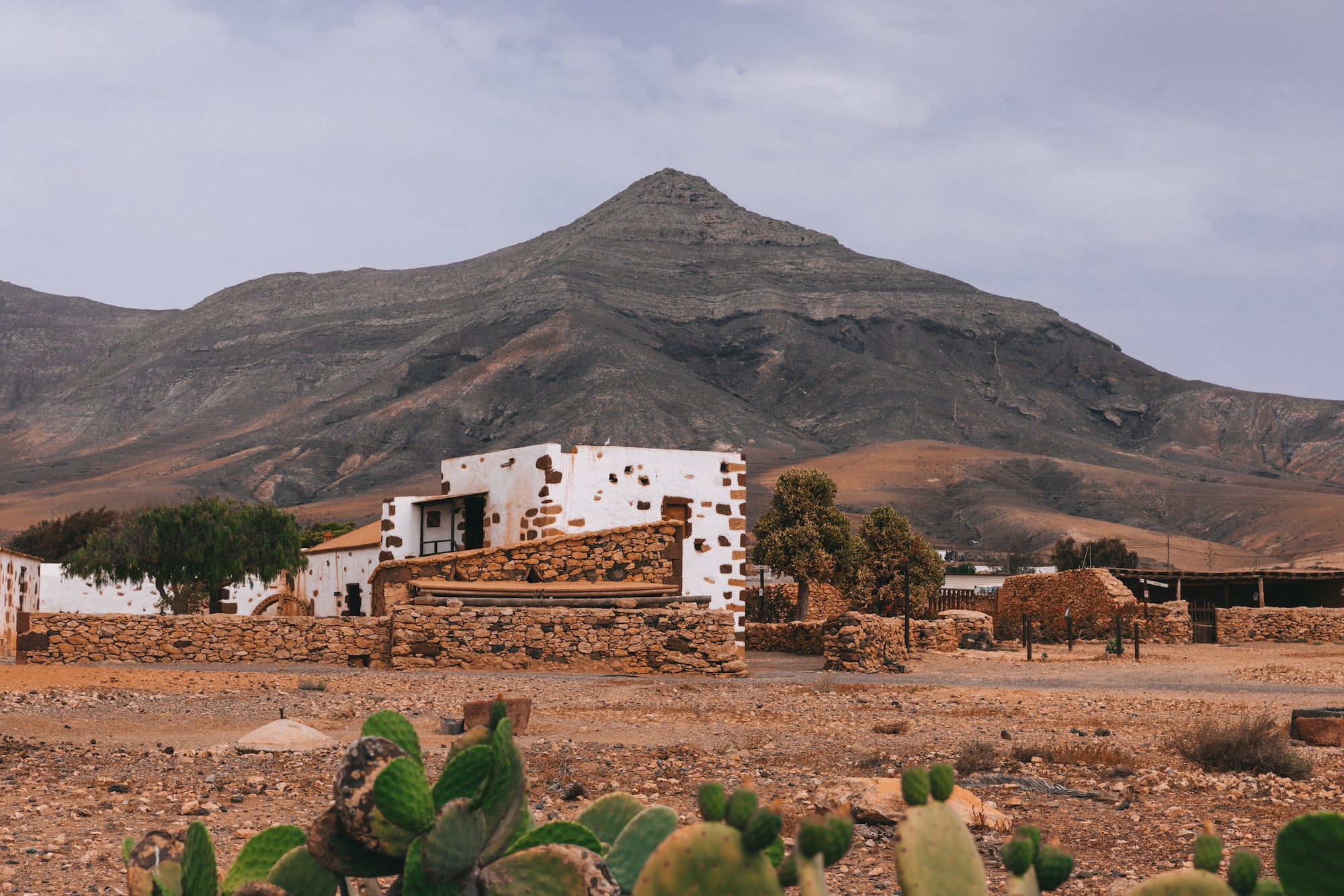 Casa blanca de piedra, montañas volcánicas y cactus nopal en Fuerteventura.
