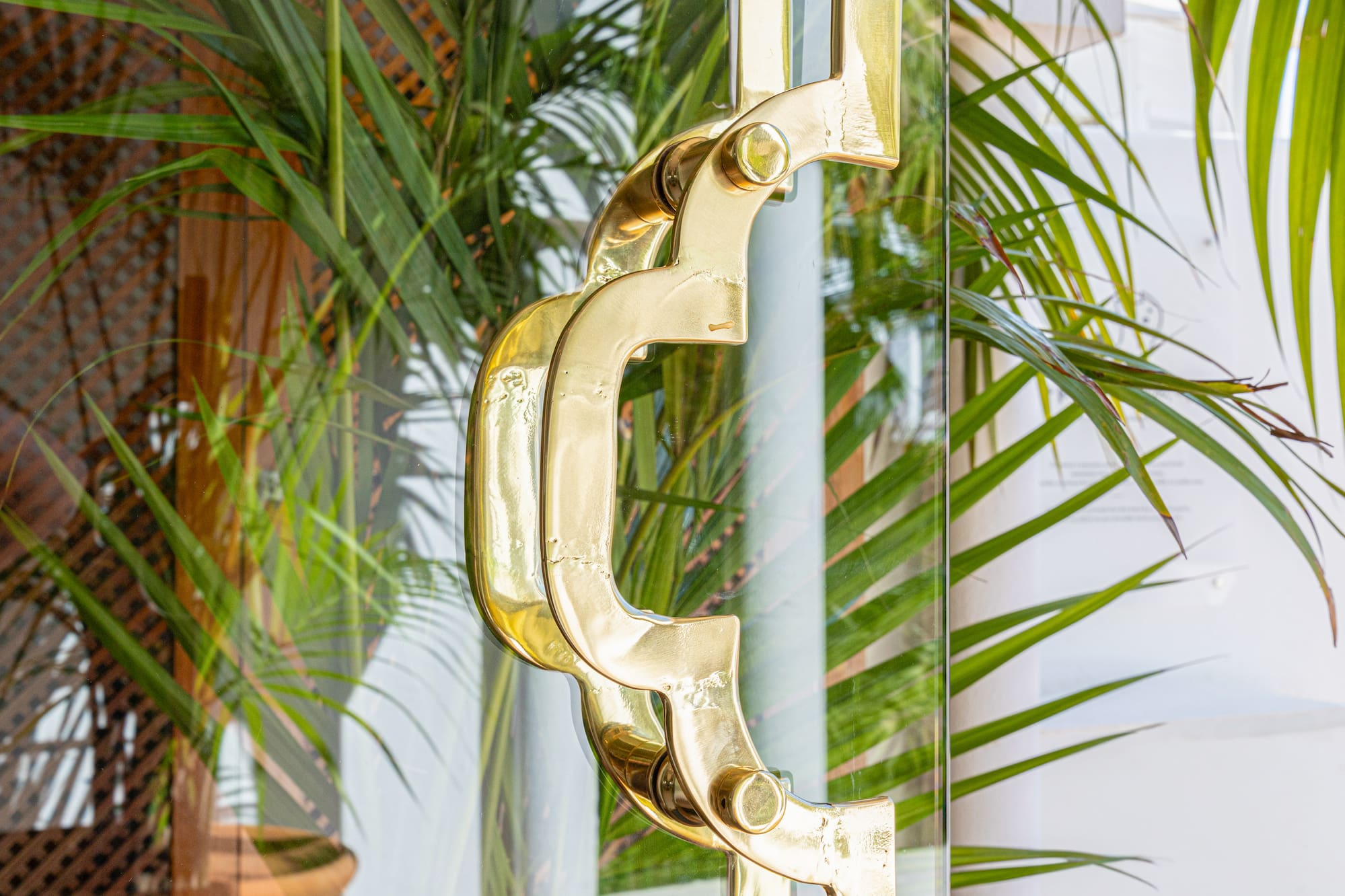 Modern glass door with ornate gold handle and green palm plants.
