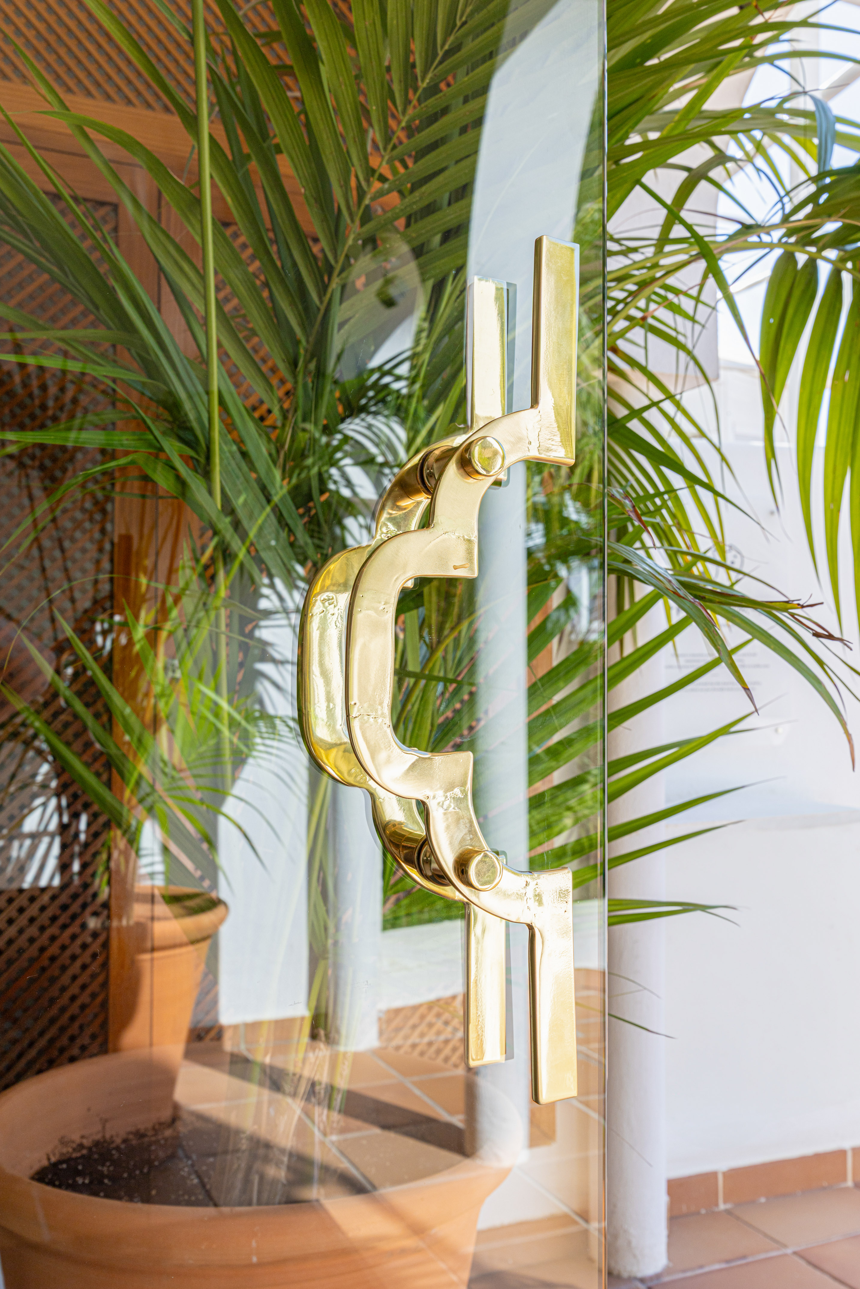 Modern glass door with ornate gold handle and green palm plants.
