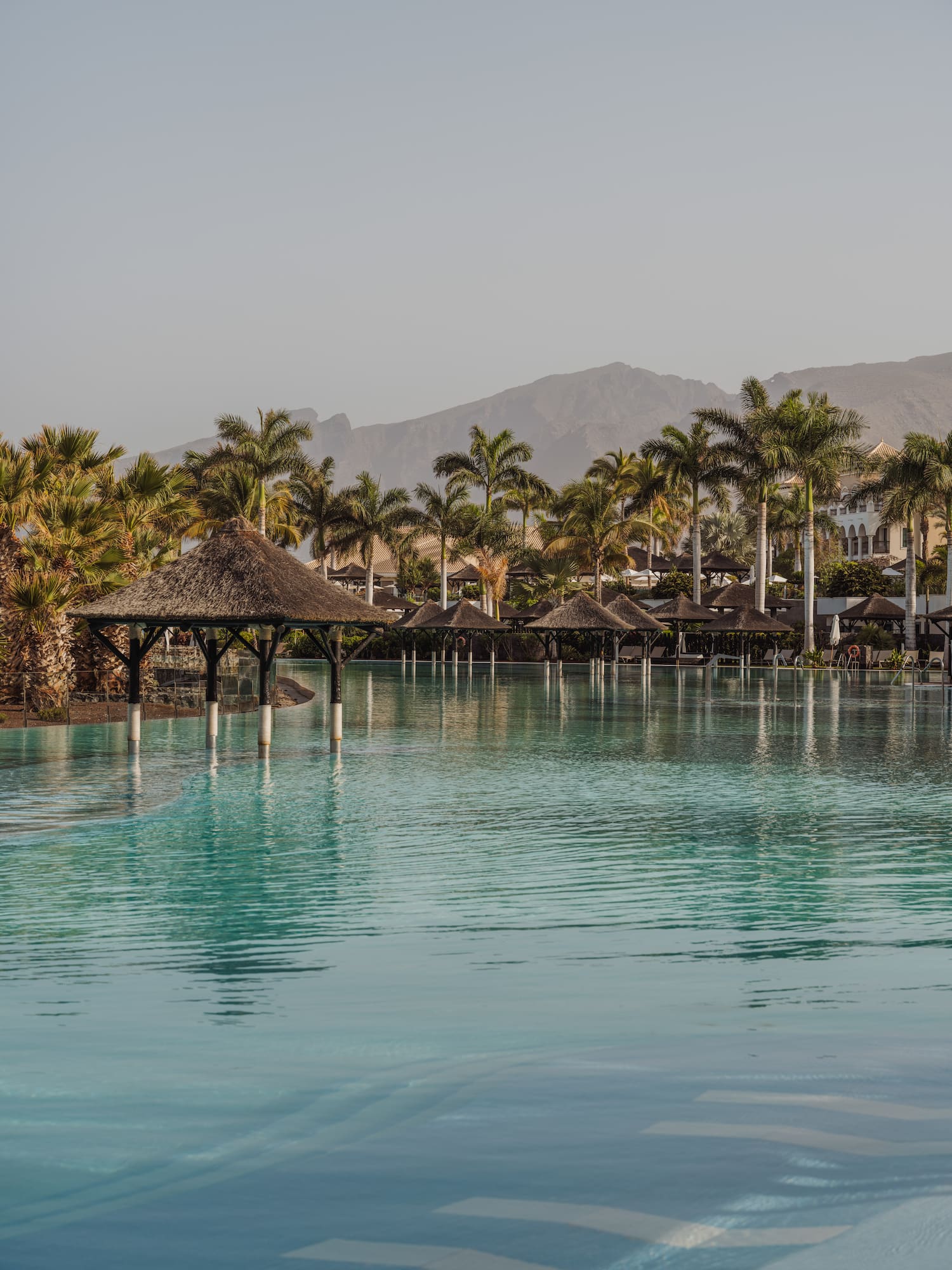 a pool with a thatched roof and palm trees