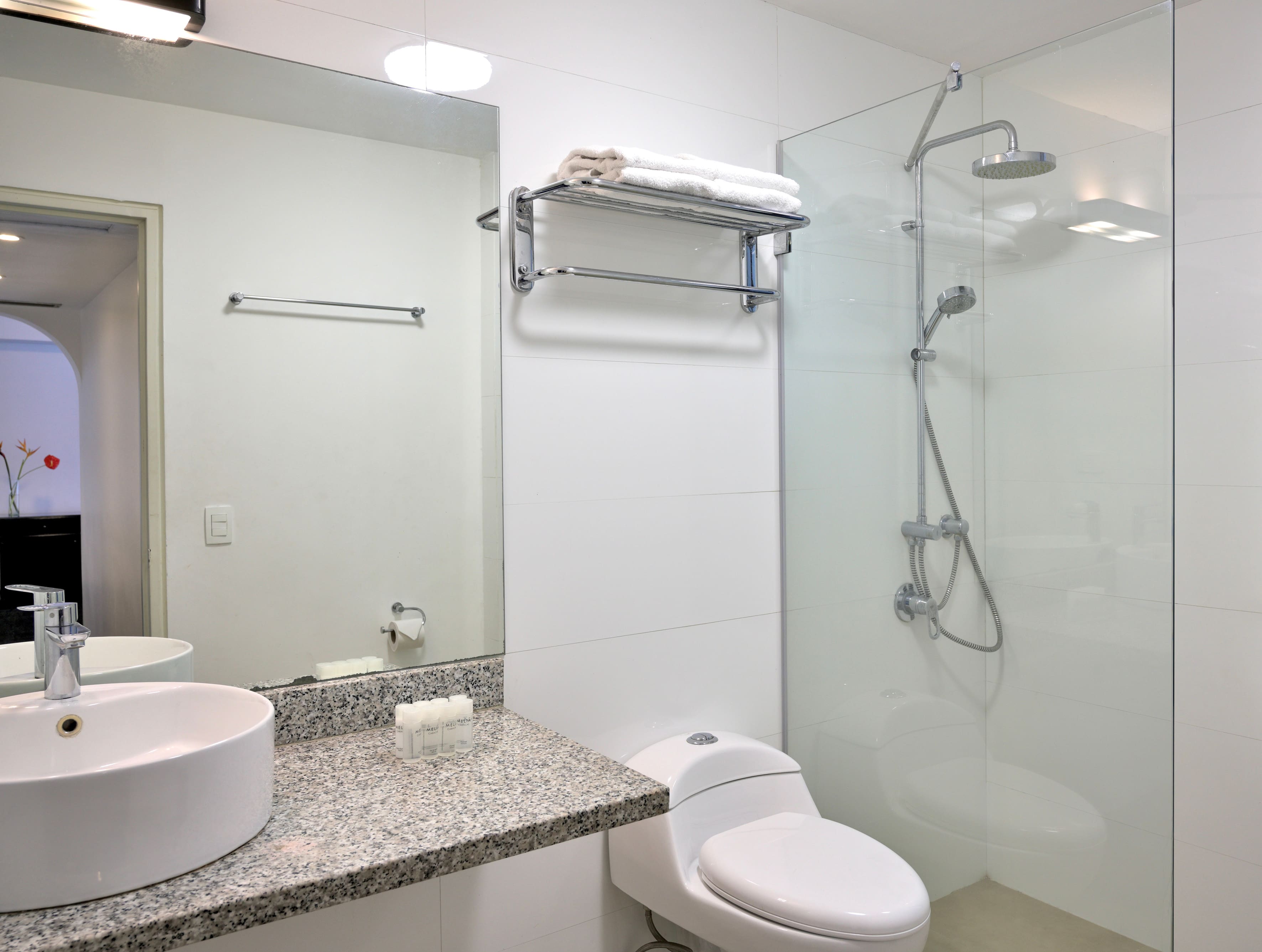 Baño de Lujo