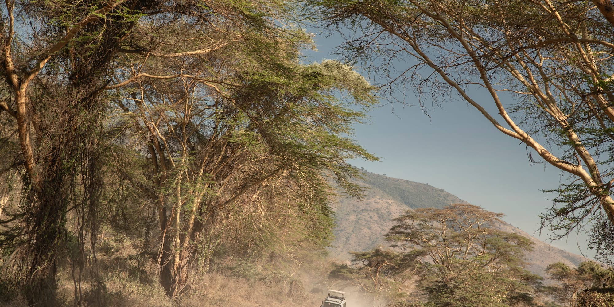 a car driving on a dirt road with trees and mountains in the background