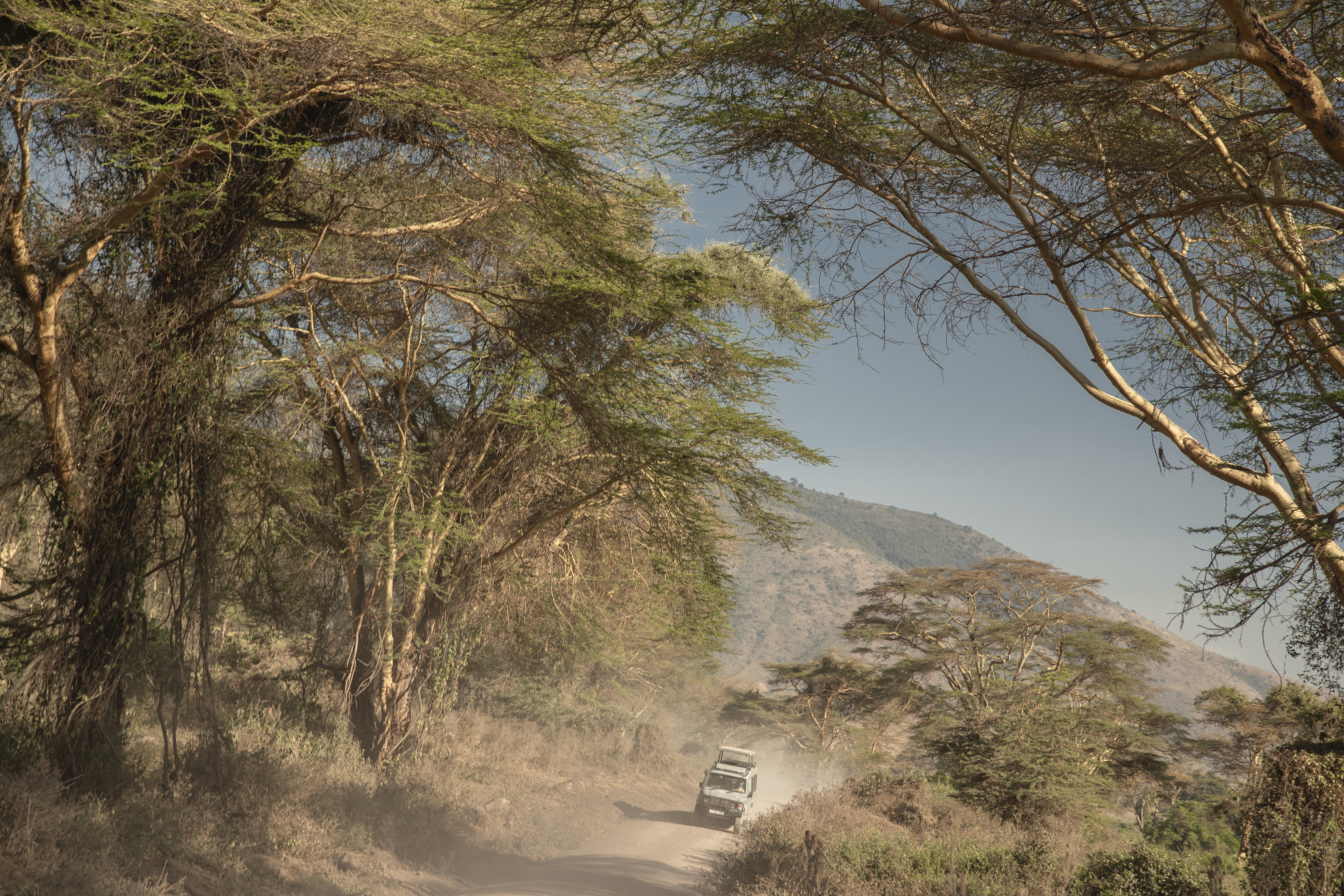a car driving on a dirt road with trees and mountains in the background