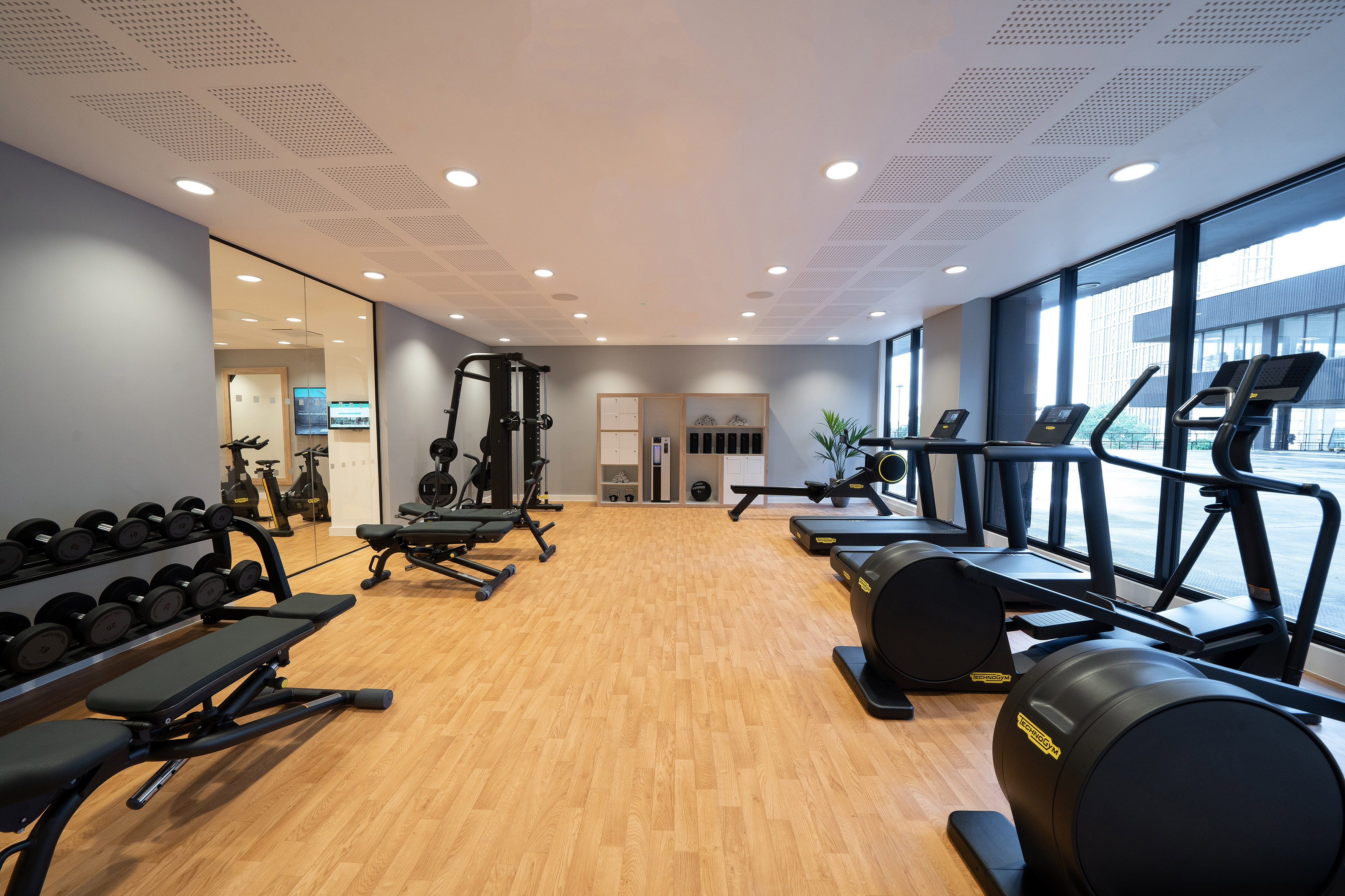 Modern gym with cardio machines, free weights, and window views.