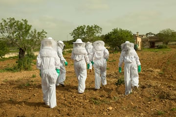 a group of people wearing white protective gear walking in a field