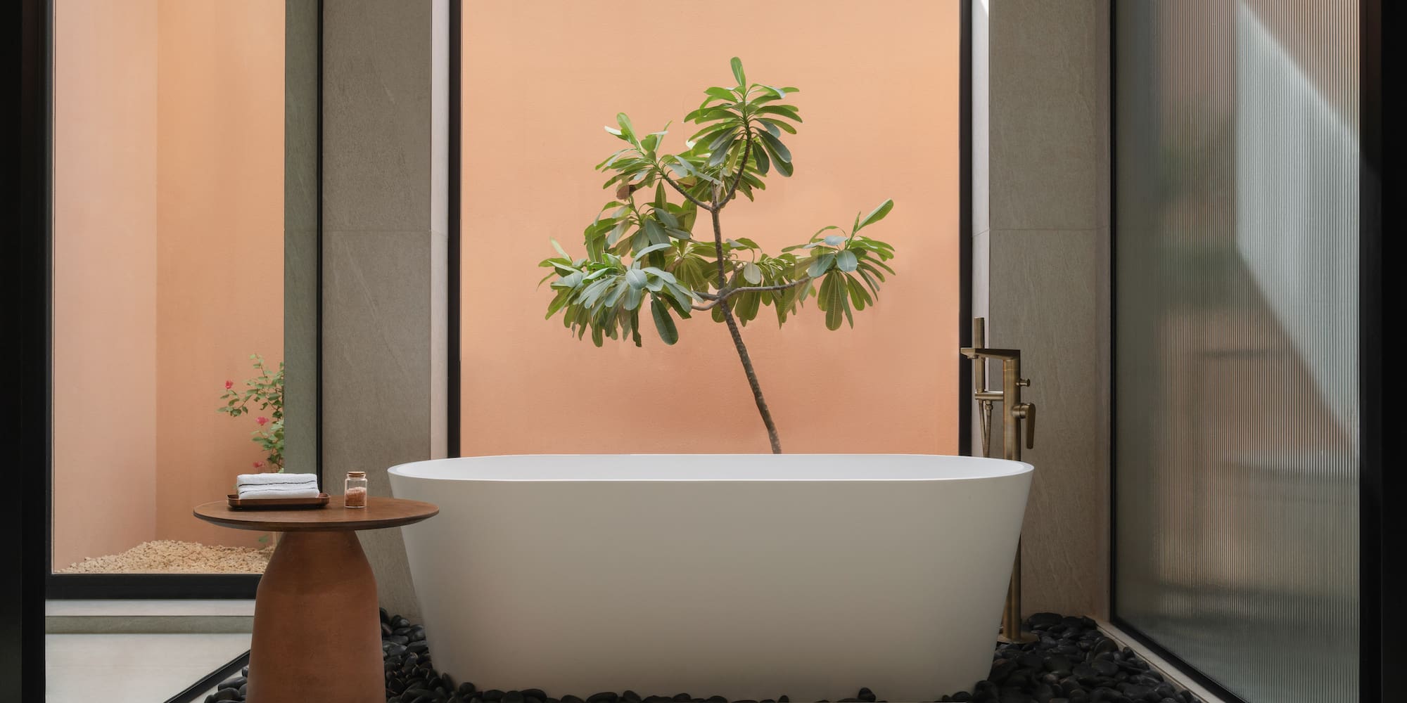 a bathtub with a tree growing out of it