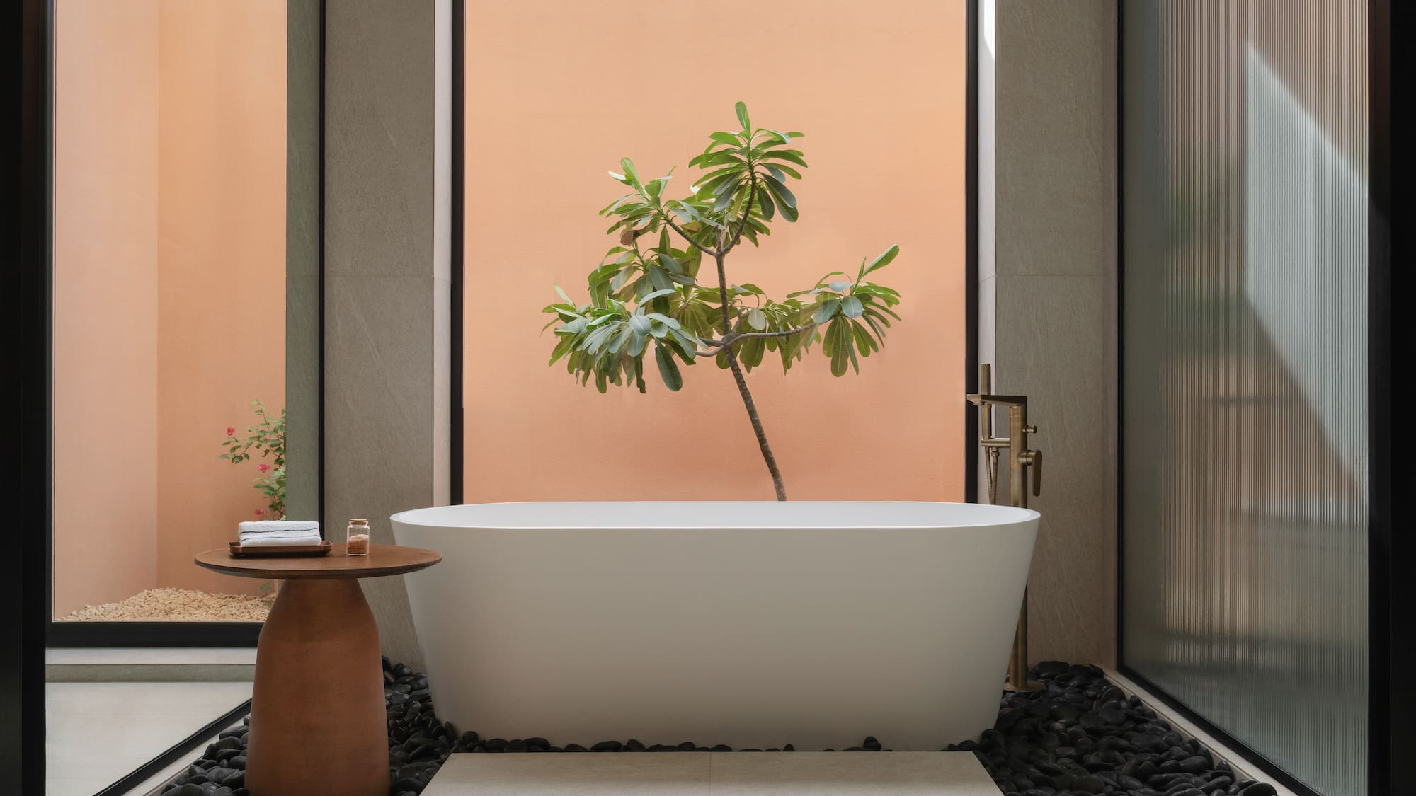 a bathtub with a tree growing out of it