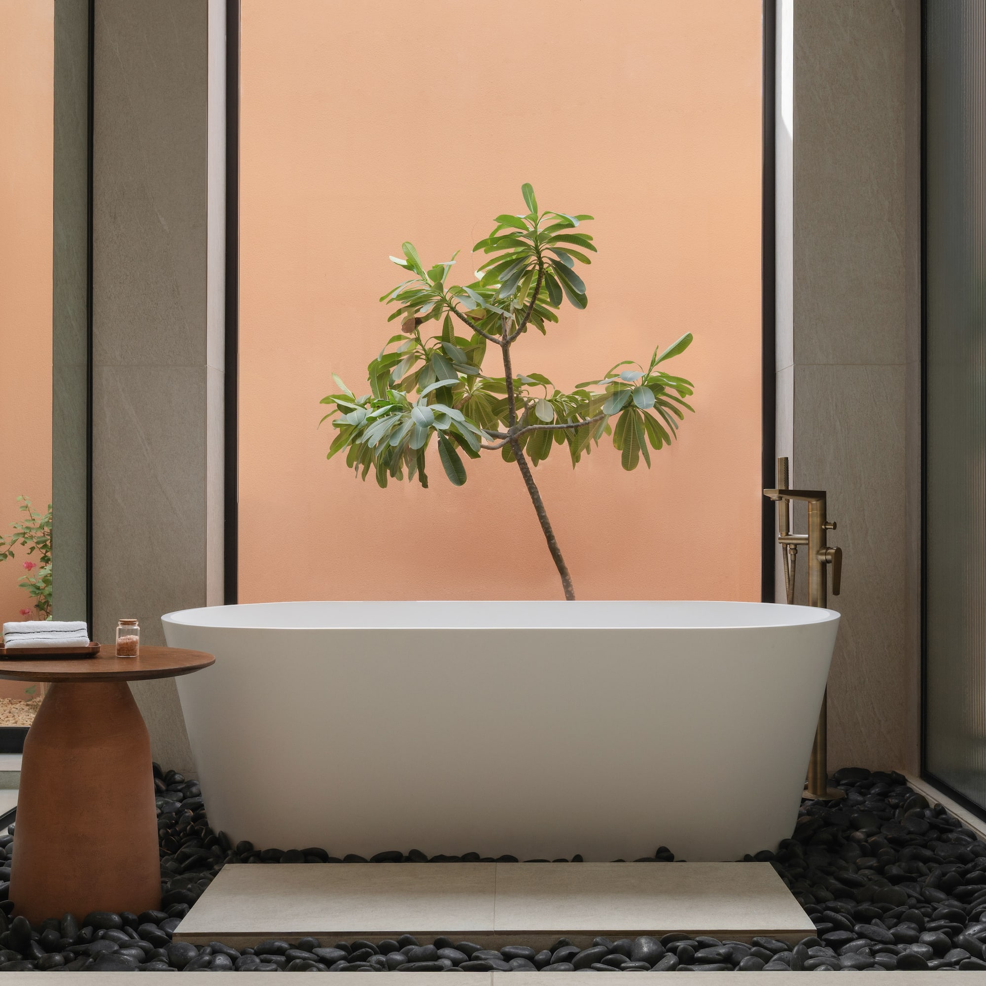 a bathtub with a tree growing out of it
