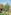Golden stupa and ornate Thai temple with monks walking in a lush garden.