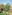 Golden stupa and ornate Thai temple with monks walking in a lush garden.