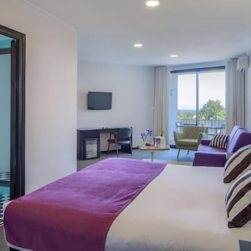 a bedroom with a bed and a television