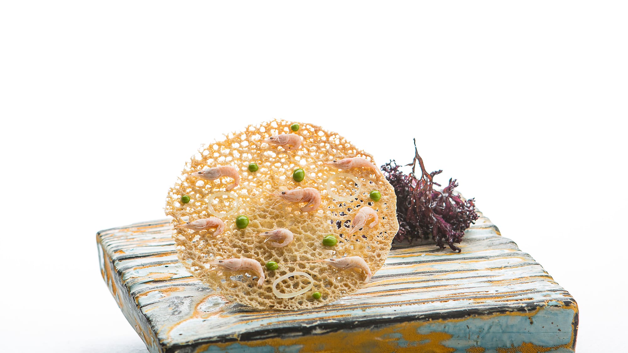 a small round object on a wood surface