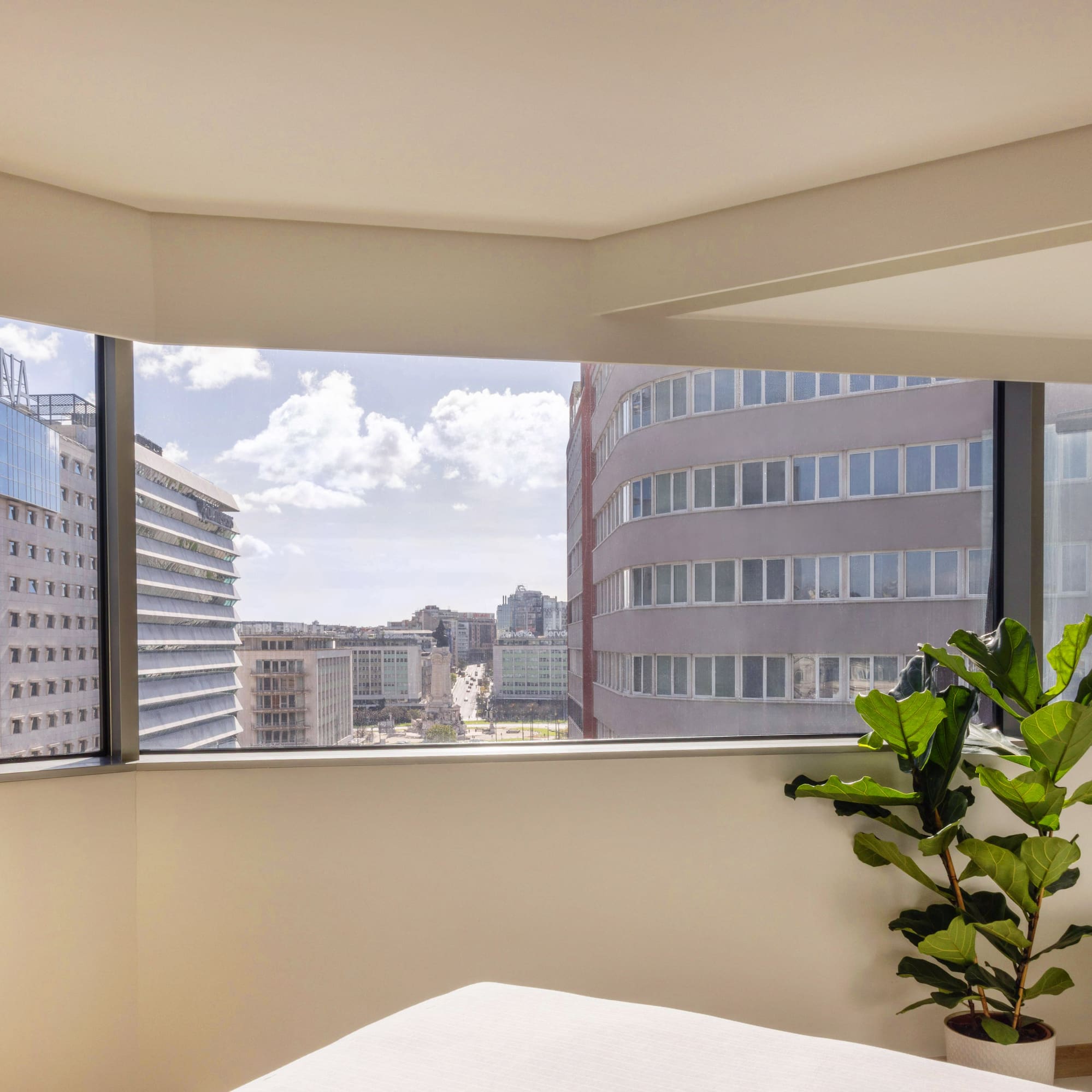 a room with a large window and a plant