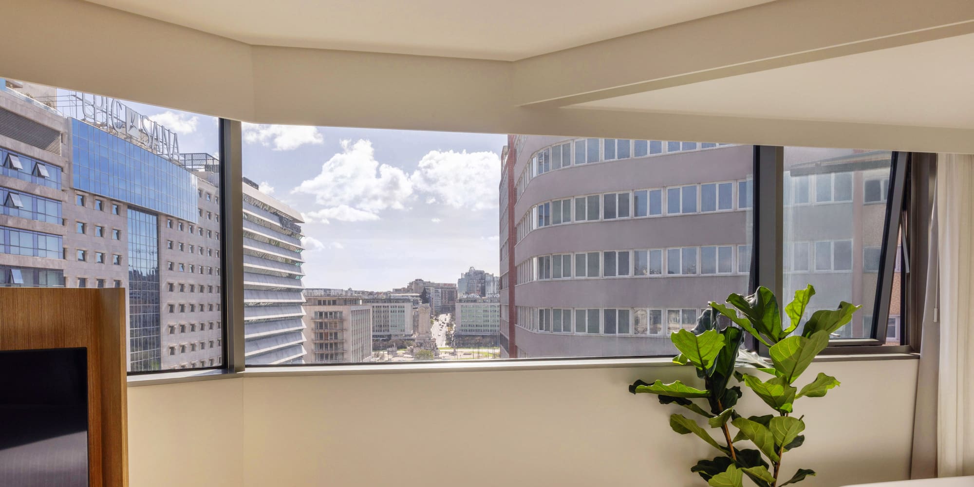 a room with a large window and a plant